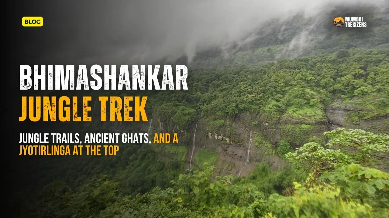 Bhimashankar trek shidi ghat iron ladders forest