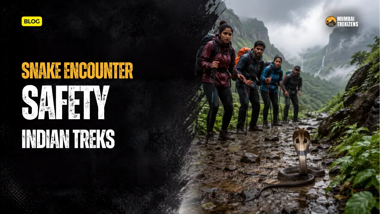 snake encounter on an Indian trek