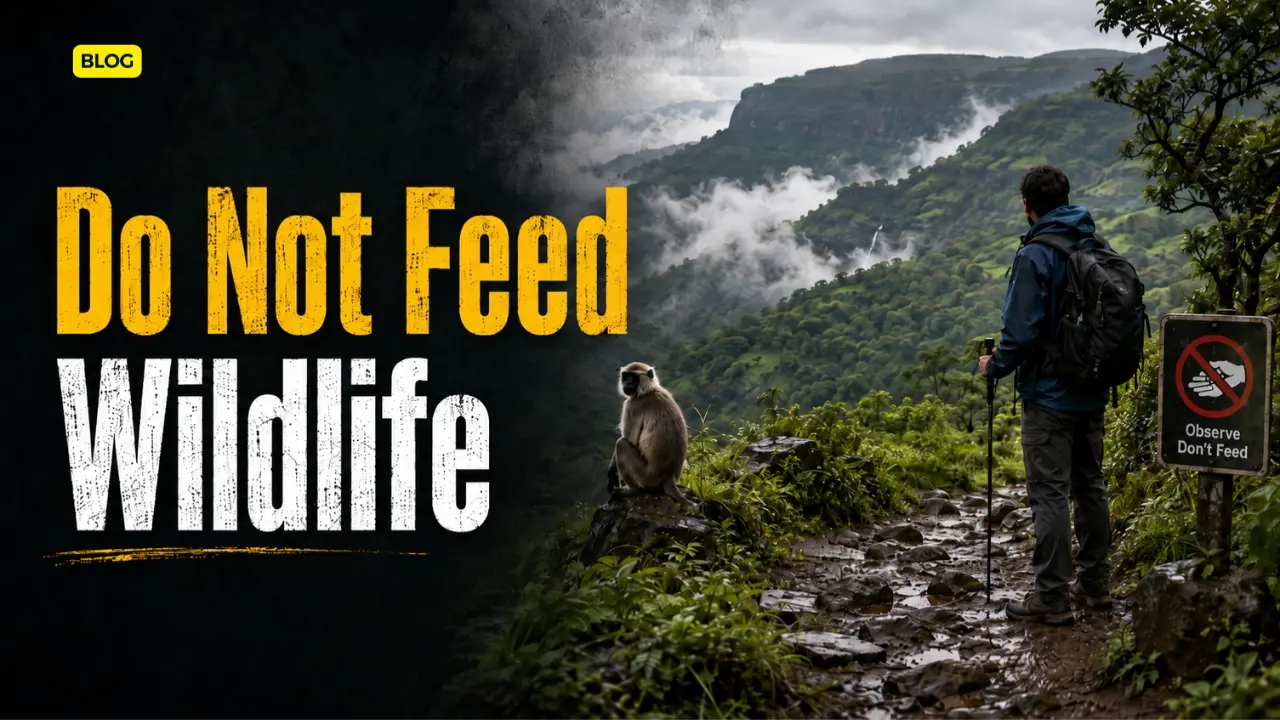 Sign warning trekkers not to feed monkeys at a Sahyadri fort