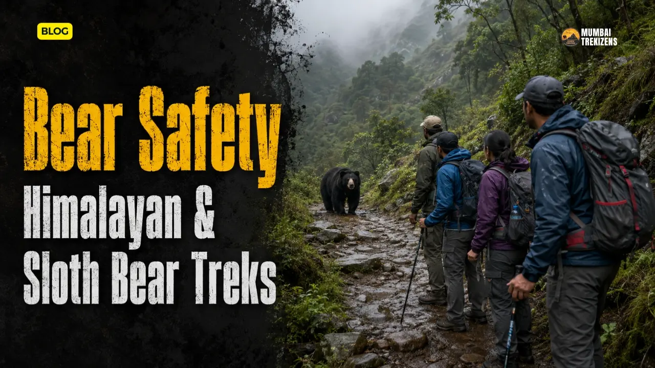 Himalayan black bear safety for trekkers