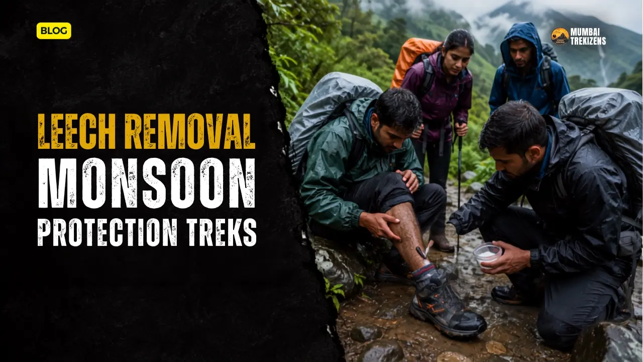 how to remove a leech while trekking