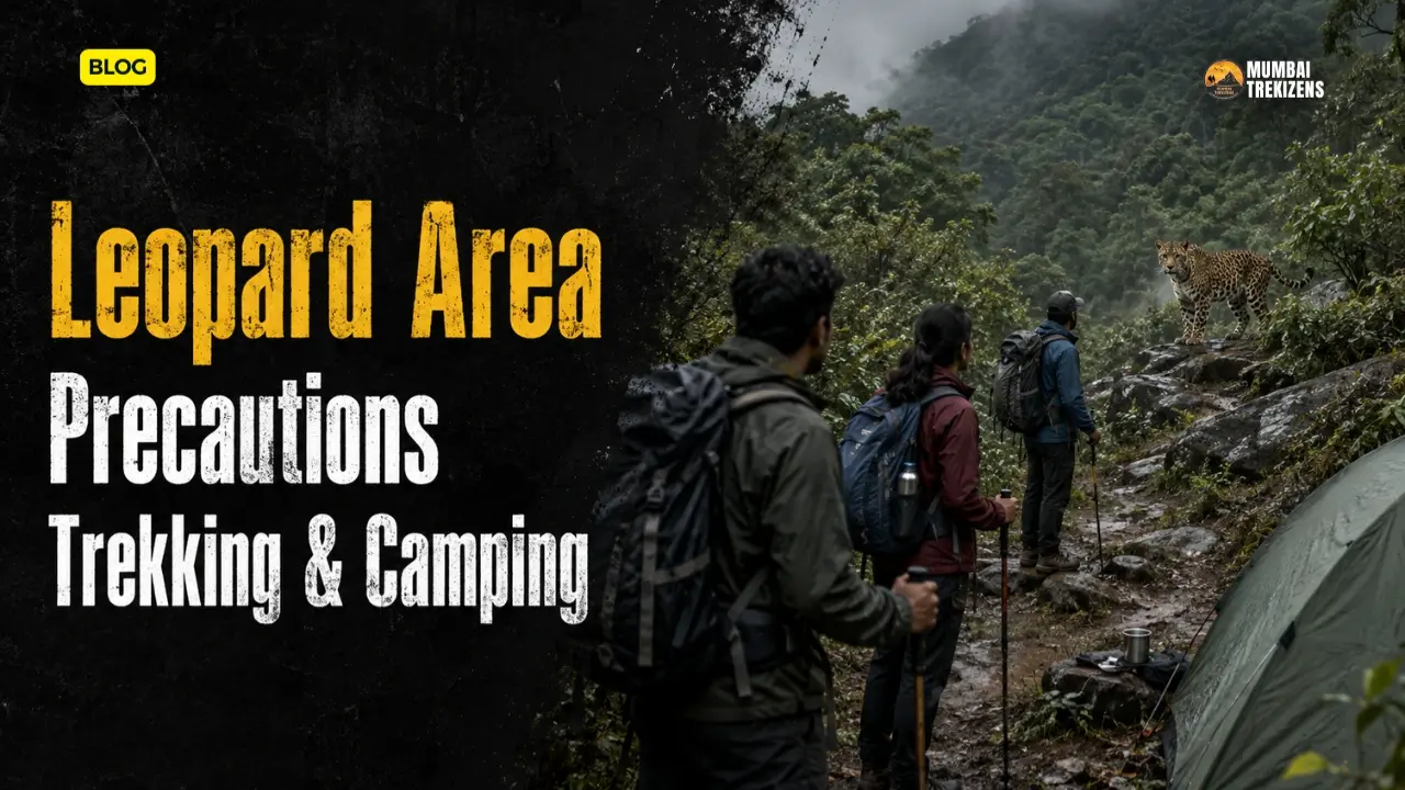 leopard area precautions for trekkers and campers